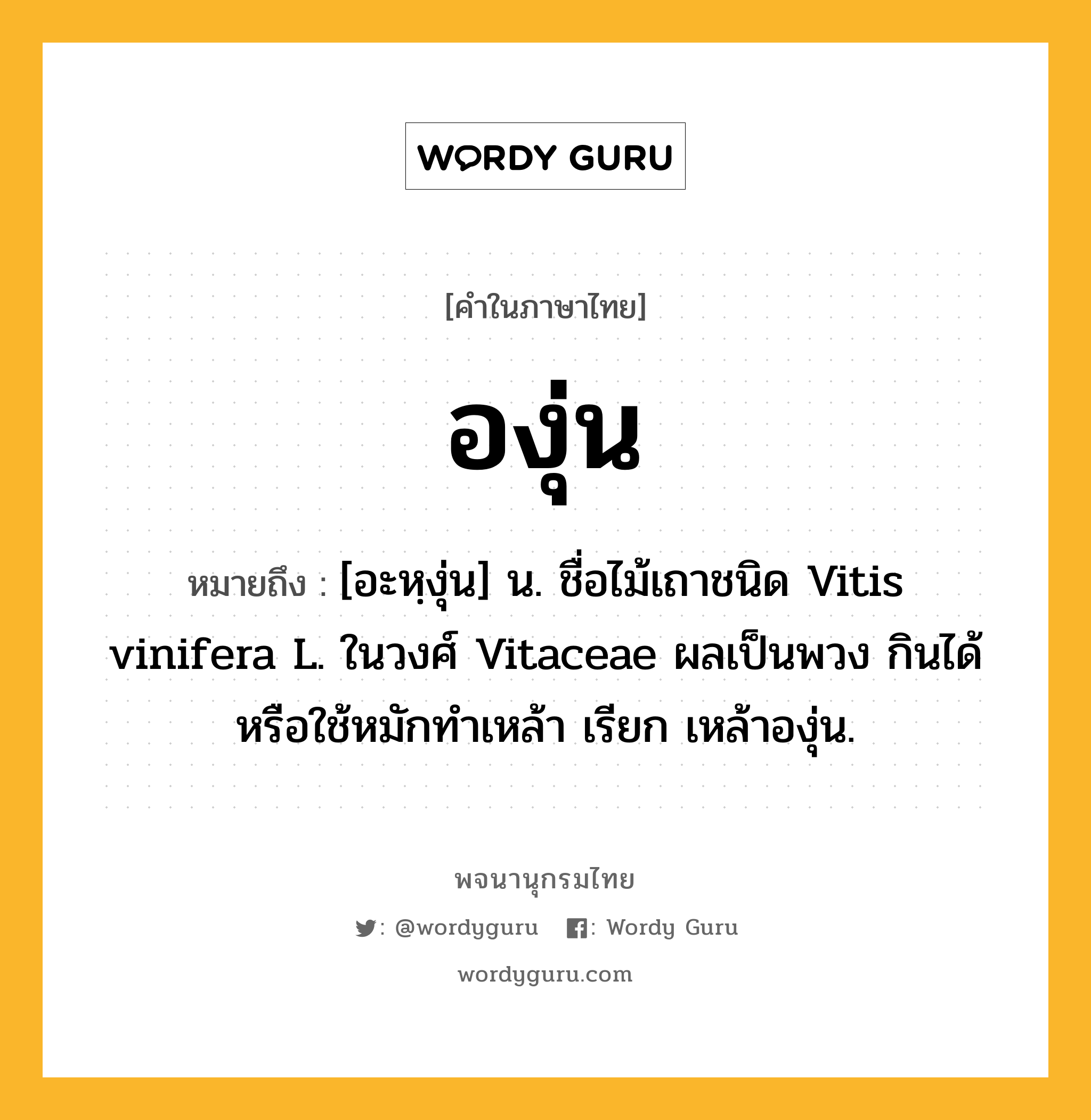 องุ่น หมายถึงอะไร?, คำในภาษาไทย องุ่น หมายถึง [อะหฺงุ่น] น. ชื่อไม้เถาชนิด Vitis vinifera L. ในวงศ์ Vitaceae ผลเป็นพวง กินได้หรือใช้หมักทําเหล้า เรียก เหล้าองุ่น.