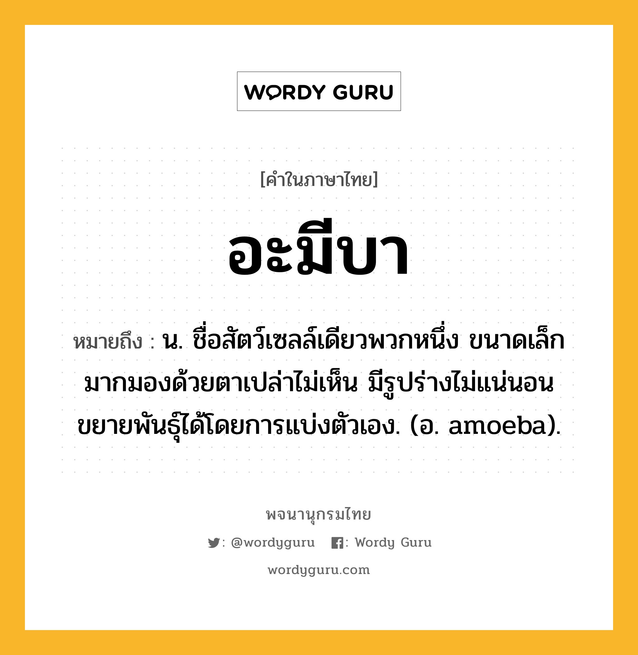 อะมีบา หมายถึงอะไร?, คำในภาษาไทย อะมีบา หมายถึง น. ชื่อสัตว์เซลล์เดียวพวกหนึ่ง ขนาดเล็กมากมองด้วยตาเปล่าไม่เห็น มีรูปร่างไม่แน่นอน ขยายพันธุ์ได้โดยการแบ่งตัวเอง. (อ. amoeba).