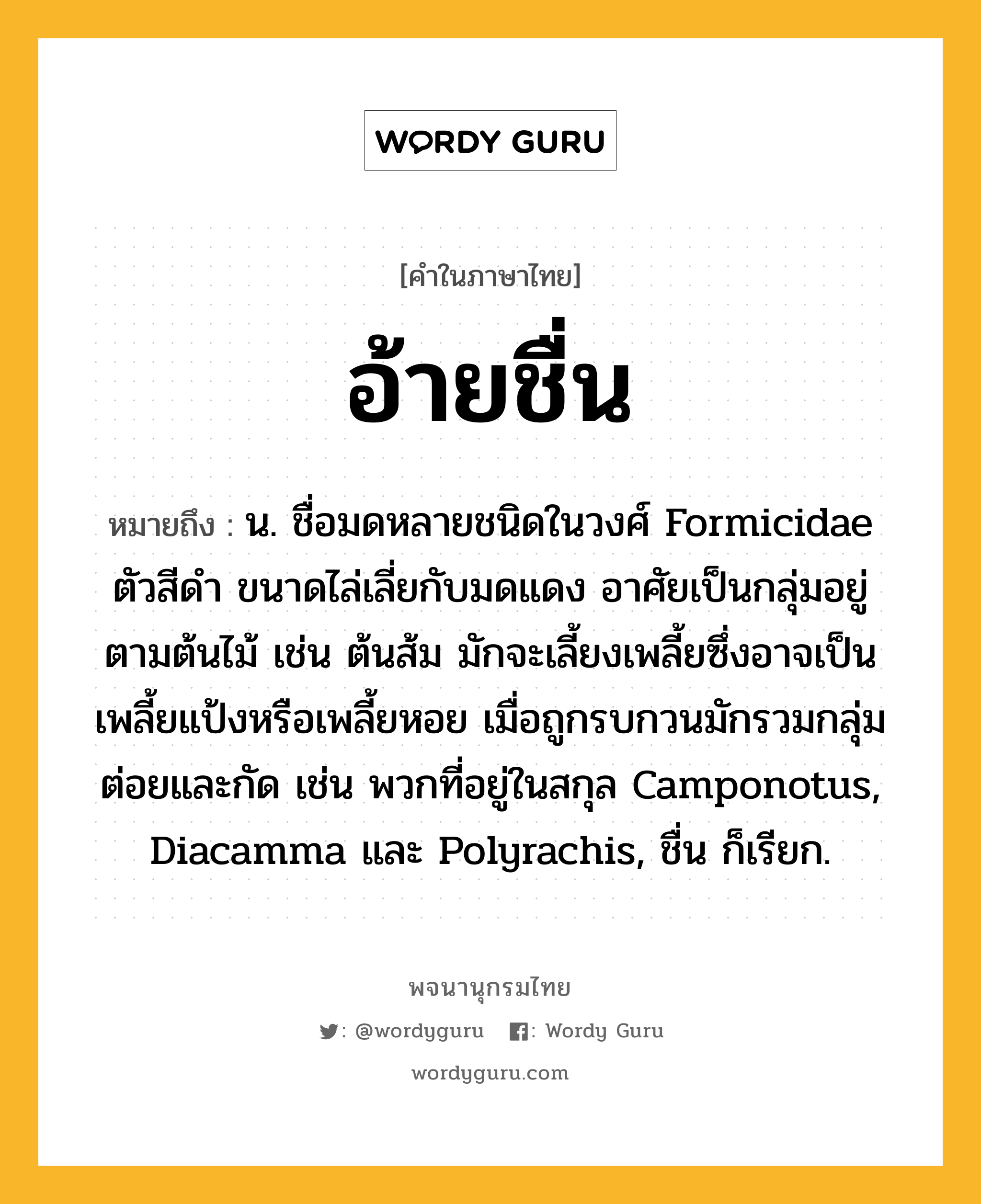 อ้ายชื่น หมายถึงอะไร?, คำในภาษาไทย อ้ายชื่น หมายถึง น. ชื่อมดหลายชนิดในวงศ์ Formicidae ตัวสีดํา ขนาดไล่เลี่ยกับมดแดง อาศัยเป็นกลุ่มอยู่ตามต้นไม้ เช่น ต้นส้ม มักจะเลี้ยงเพลี้ยซึ่งอาจเป็นเพลี้ยแป้งหรือเพลี้ยหอย เมื่อถูกรบกวนมักรวมกลุ่มต่อยและกัด เช่น พวกที่อยู่ในสกุล Camponotus, Diacamma และ Polyrachis, ชื่น ก็เรียก.