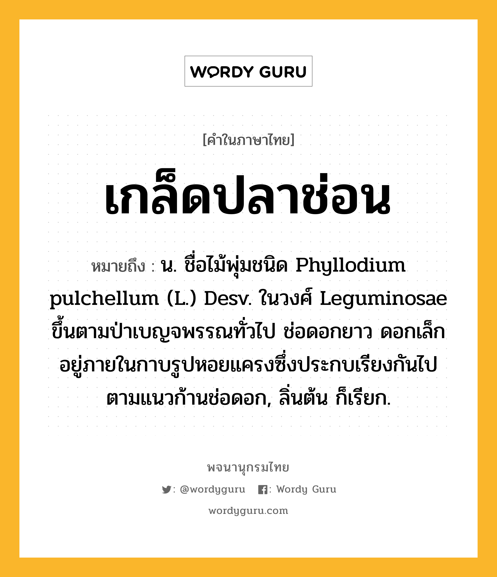 เกล็ดปลาช่อน หมายถึงอะไร?, คำในภาษาไทย เกล็ดปลาช่อน หมายถึง น. ชื่อไม้พุ่มชนิด Phyllodium pulchellum (L.) Desv. ในวงศ์ Leguminosae ขึ้นตามป่าเบญจพรรณทั่วไป ช่อดอกยาว ดอกเล็กอยู่ภายในกาบรูปหอยแครงซึ่งประกบเรียงกันไปตามแนวก้านช่อดอก, ลิ่นต้น ก็เรียก.