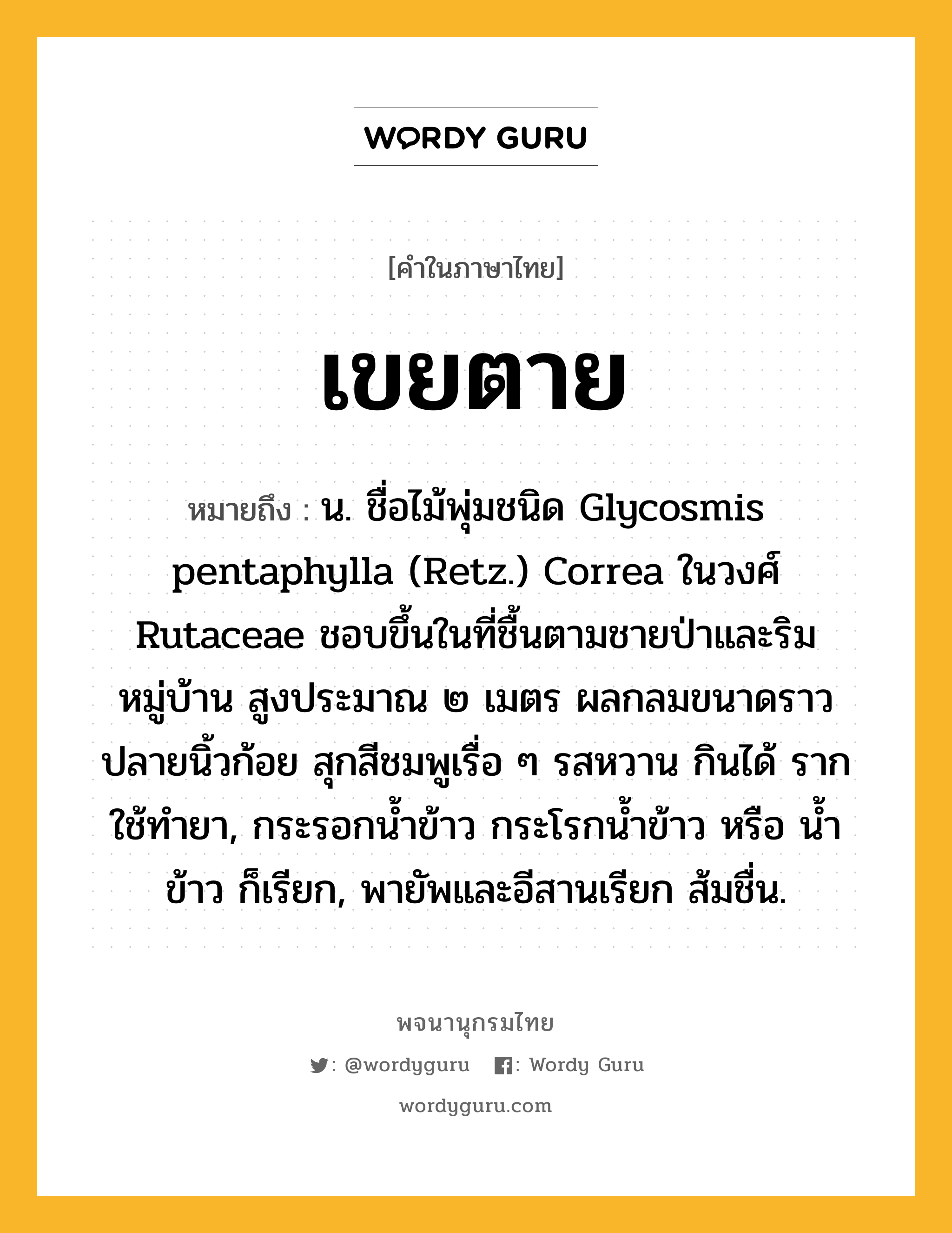 เขยตาย หมายถึงอะไร?, คำในภาษาไทย เขยตาย หมายถึง น. ชื่อไม้พุ่มชนิด Glycosmis pentaphylla (Retz.) Correa ในวงศ์ Rutaceae ชอบขึ้นในที่ชื้นตามชายป่าและริมหมู่บ้าน สูงประมาณ ๒ เมตร ผลกลมขนาดราวปลายนิ้วก้อย สุกสีชมพูเรื่อ ๆ รสหวาน กินได้ รากใช้ทํายา, กระรอกน้ำข้าว กระโรกนํ้าข้าว หรือ นํ้าข้าว ก็เรียก, พายัพและอีสานเรียก ส้มชื่น.