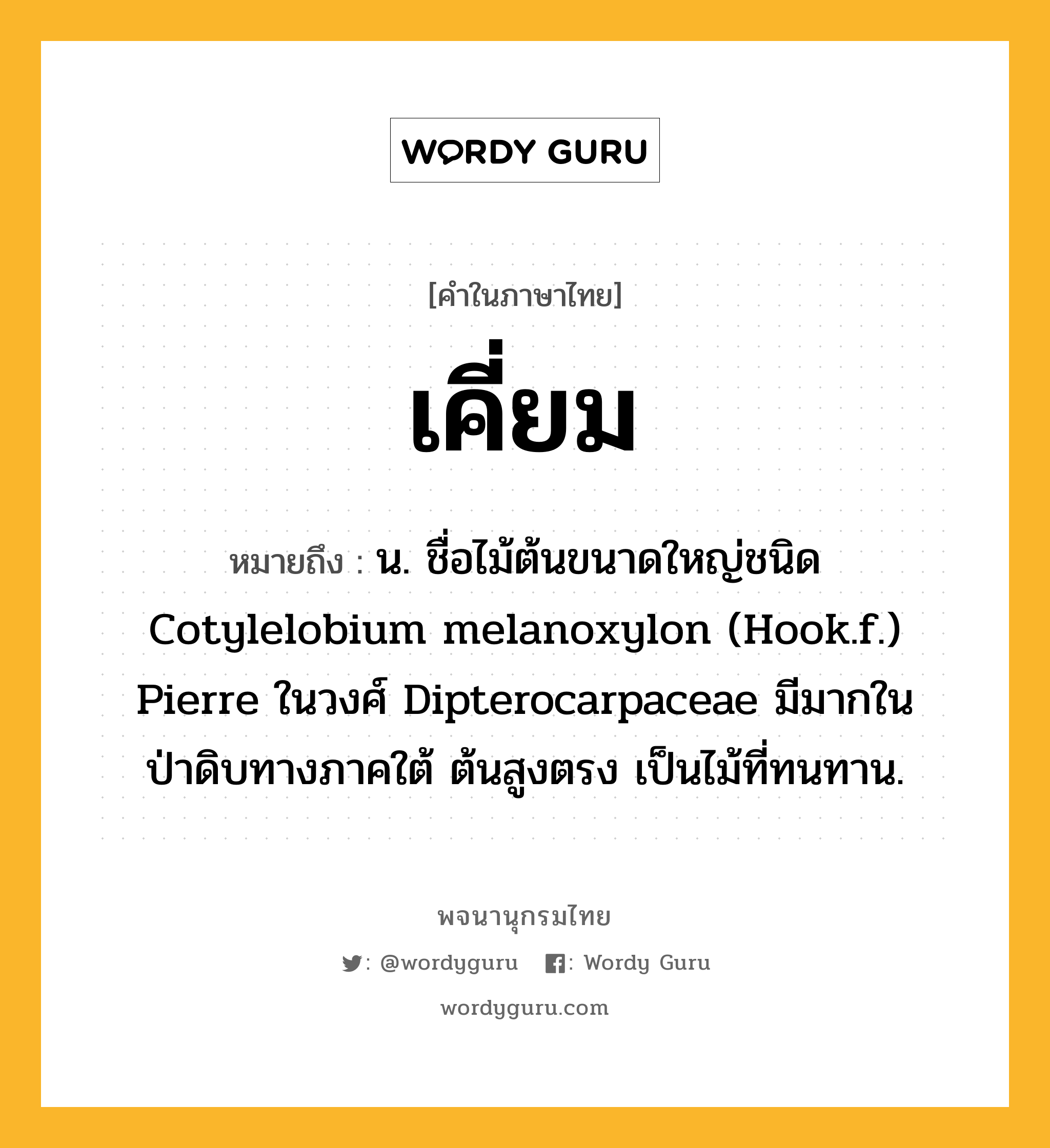 เคี่ยม หมายถึงอะไร?, คำในภาษาไทย เคี่ยม หมายถึง น. ชื่อไม้ต้นขนาดใหญ่ชนิด Cotylelobium melanoxylon (Hook.f.) Pierre ในวงศ์ Dipterocarpaceae มีมากในป่าดิบทางภาคใต้ ต้นสูงตรง เป็นไม้ที่ทนทาน.