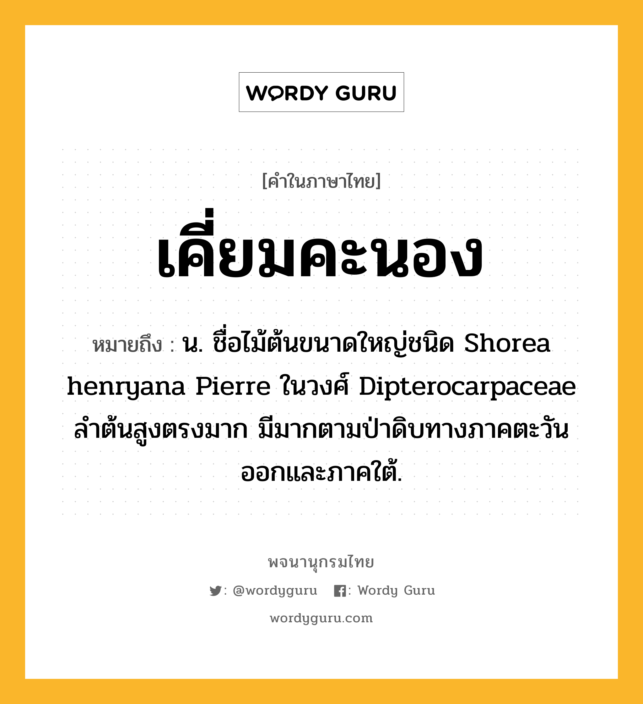 เคี่ยมคะนอง หมายถึงอะไร?, คำในภาษาไทย เคี่ยมคะนอง หมายถึง น. ชื่อไม้ต้นขนาดใหญ่ชนิด Shorea henryana Pierre ในวงศ์ Dipterocarpaceae ลําต้นสูงตรงมาก มีมากตามป่าดิบทางภาคตะวันออกและภาคใต้.