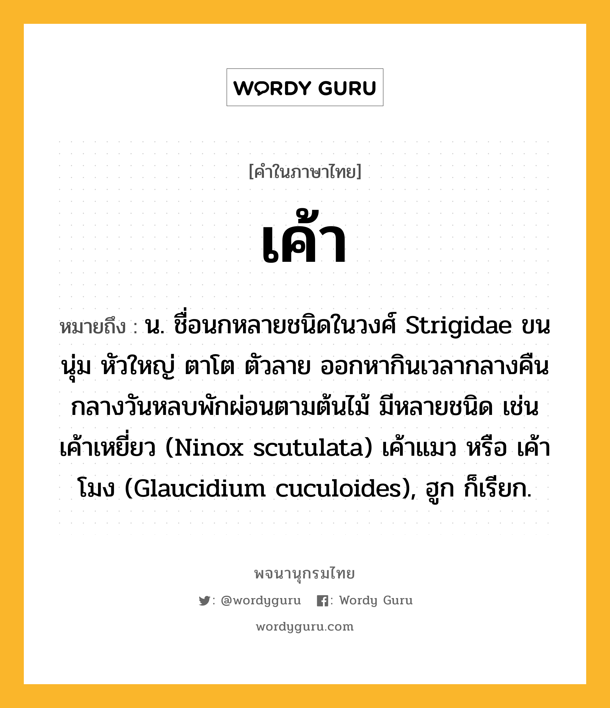 เค้า หมายถึงอะไร?, คำในภาษาไทย เค้า หมายถึง น. ชื่อนกหลายชนิดในวงศ์ Strigidae ขนนุ่ม หัวใหญ่ ตาโต ตัวลาย ออกหากินเวลากลางคืน กลางวันหลบพักผ่อนตามต้นไม้ มีหลายชนิด เช่น เค้าเหยี่ยว (Ninox scutulata) เค้าแมว หรือ เค้าโมง (Glaucidium cuculoides), ฮูก ก็เรียก.