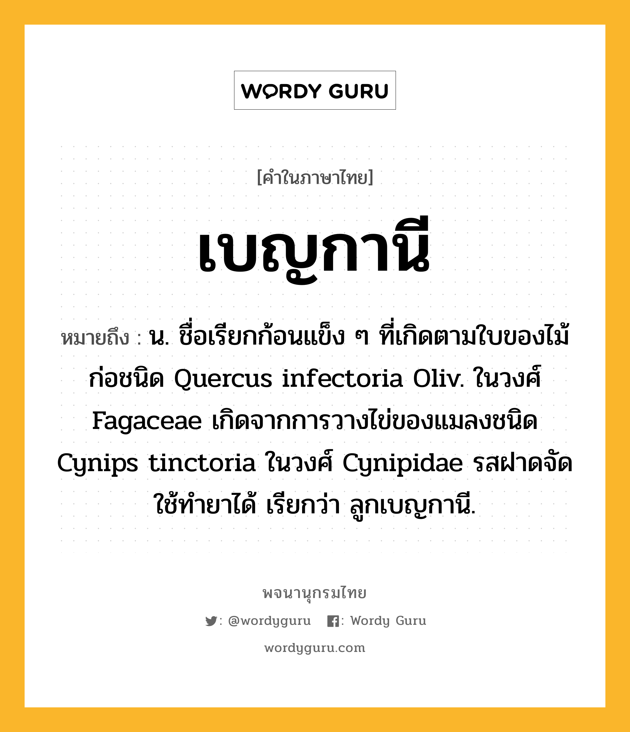 เบญกานี หมายถึงอะไร?, คำในภาษาไทย เบญกานี หมายถึง น. ชื่อเรียกก้อนแข็ง ๆ ที่เกิดตามใบของไม้ก่อชนิด Quercus infectoria Oliv. ในวงศ์ Fagaceae เกิดจากการวางไข่ของแมลงชนิด Cynips tinctoria ในวงศ์ Cynipidae รสฝาดจัด ใช้ทํายาได้ เรียกว่า ลูกเบญกานี.