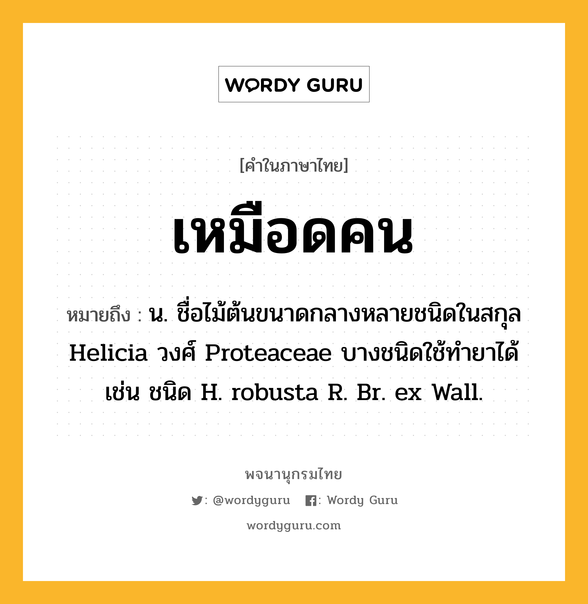 เหมือดคน หมายถึงอะไร?, คำในภาษาไทย เหมือดคน หมายถึง น. ชื่อไม้ต้นขนาดกลางหลายชนิดในสกุล Helicia วงศ์ Proteaceae บางชนิดใช้ทํายาได้ เช่น ชนิด H. robusta R. Br. ex Wall.