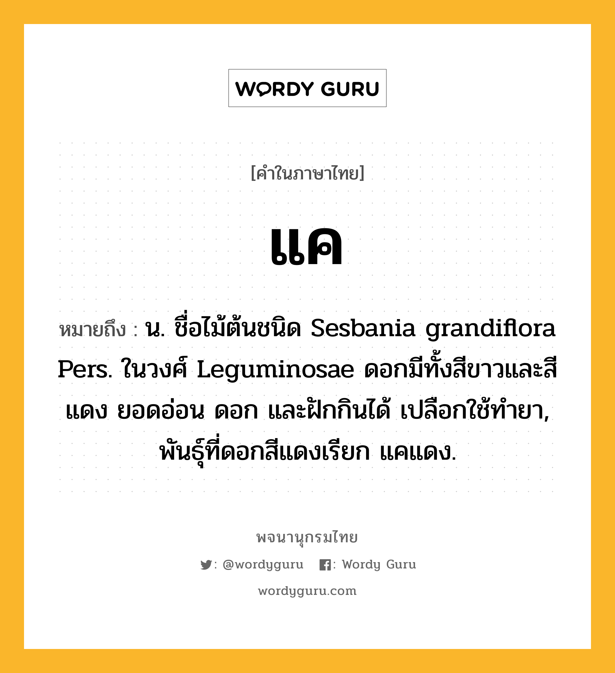 แค หมายถึงอะไร?, คำในภาษาไทย แค หมายถึง น. ชื่อไม้ต้นชนิด Sesbania grandiflora Pers. ในวงศ์ Leguminosae ดอกมีทั้งสีขาวและสีแดง ยอดอ่อน ดอก และฝักกินได้ เปลือกใช้ทํายา, พันธุ์ที่ดอกสีแดงเรียก แคแดง.