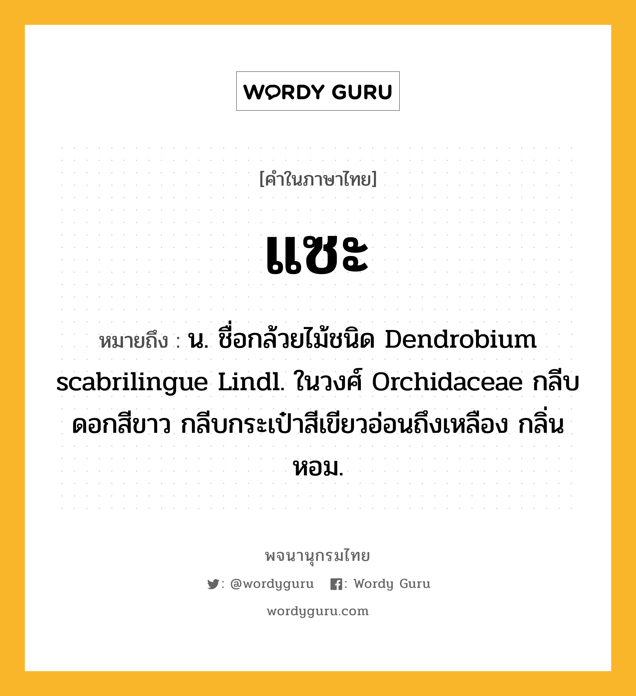 แซะ หมายถึงอะไร?, คำในภาษาไทย แซะ หมายถึง น. ชื่อกล้วยไม้ชนิด Dendrobium scabrilingue Lindl. ในวงศ์ Orchidaceae กลีบดอกสีขาว กลีบกระเป๋าสีเขียวอ่อนถึงเหลือง กลิ่นหอม.