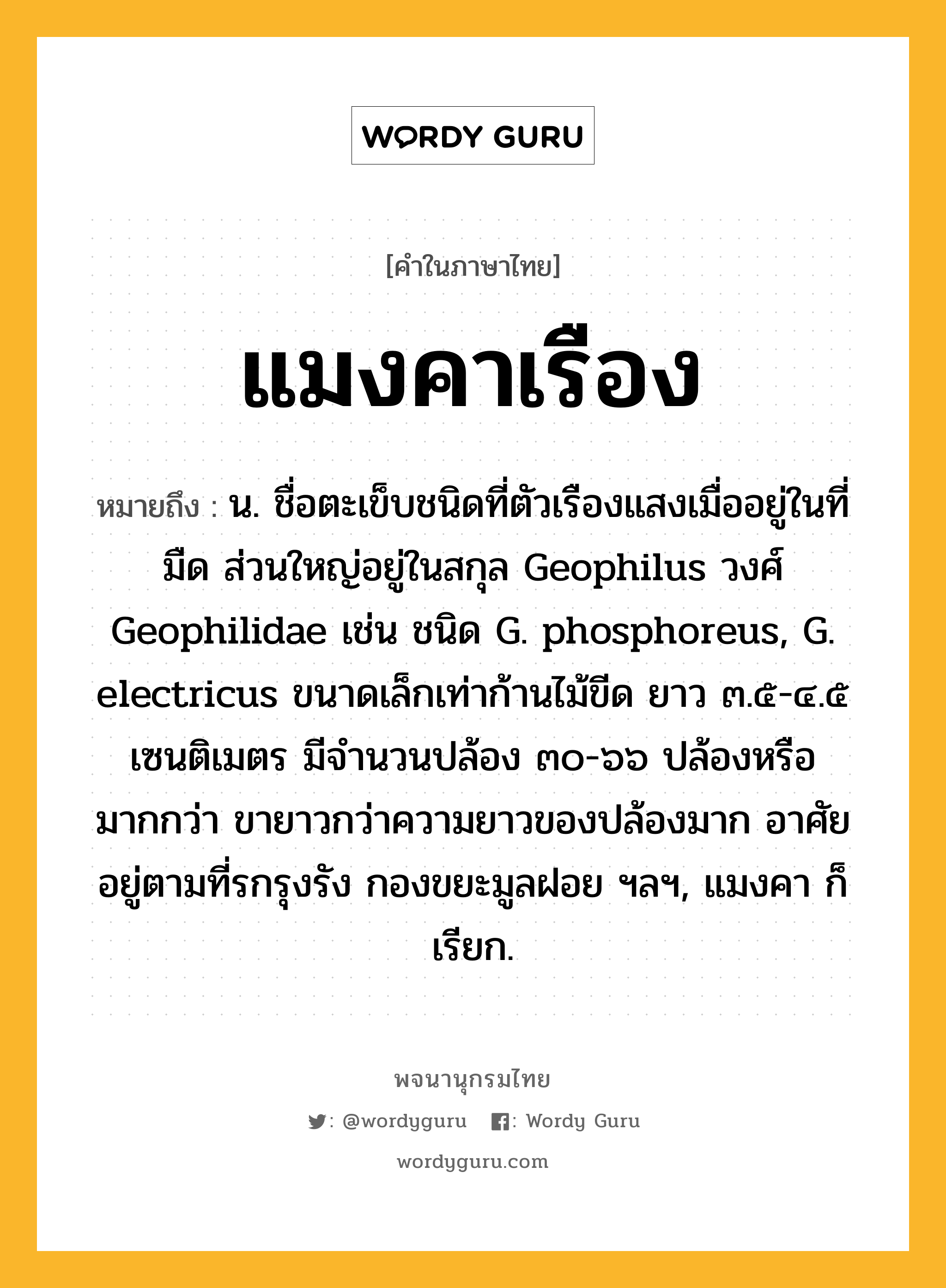 แมงคาเรือง หมายถึงอะไร?, คำในภาษาไทย แมงคาเรือง หมายถึง น. ชื่อตะเข็บชนิดที่ตัวเรืองแสงเมื่ออยู่ในที่มืด ส่วนใหญ่อยู่ในสกุล Geophilus วงศ์ Geophilidae เช่น ชนิด G. phosphoreus, G. electricus ขนาดเล็กเท่าก้านไม้ขีด ยาว ๓.๕-๔.๕ เซนติเมตร มีจํานวนปล้อง ๓๐-๖๖ ปล้องหรือมากกว่า ขายาวกว่าความยาวของปล้องมาก อาศัยอยู่ตามที่รกรุงรัง กองขยะมูลฝอย ฯลฯ, แมงคา ก็เรียก.