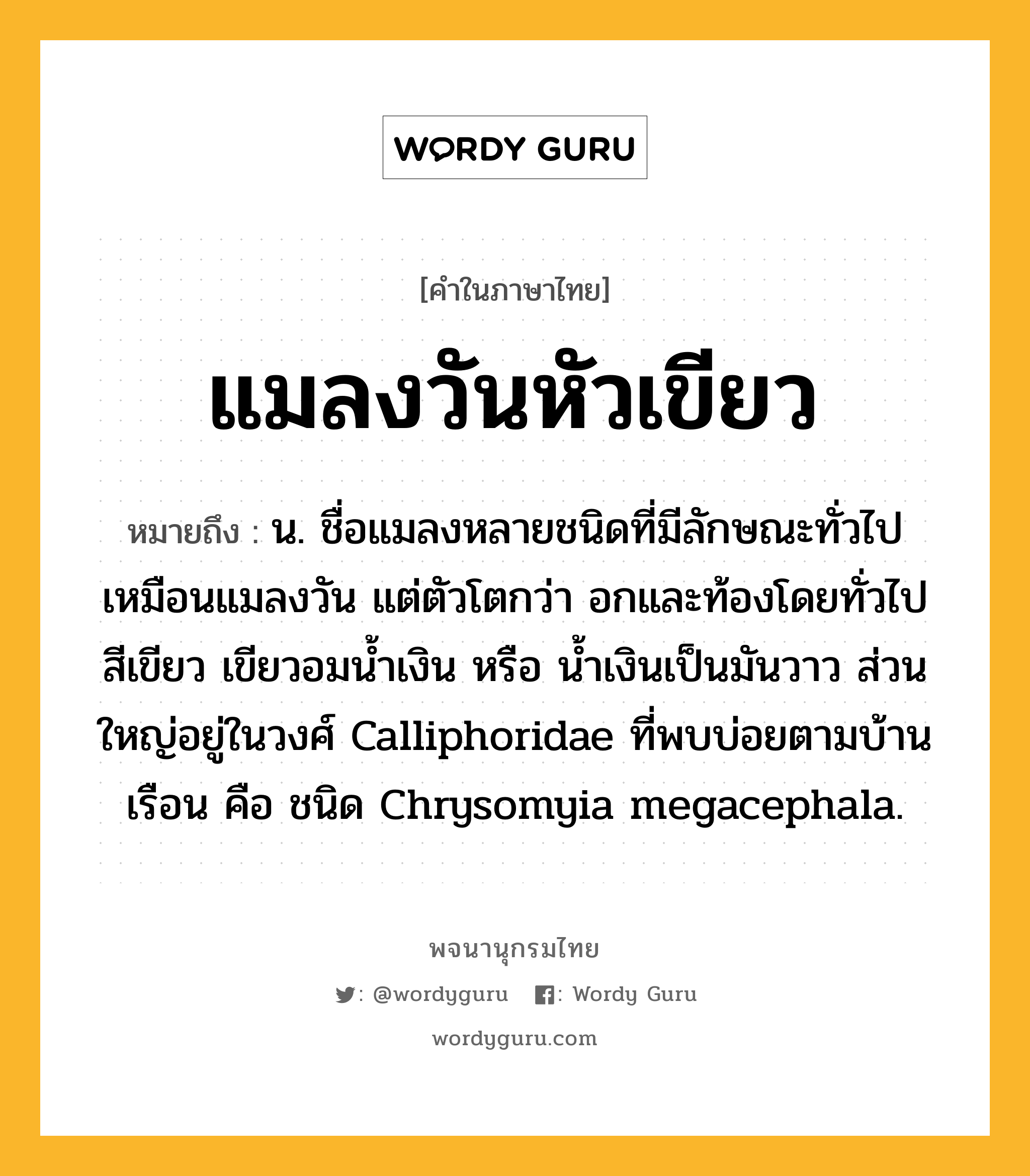 แมลงวันหัวเขียว หมายถึงอะไร?, คำในภาษาไทย แมลงวันหัวเขียว หมายถึง น. ชื่อแมลงหลายชนิดที่มีลักษณะทั่วไปเหมือนแมลงวัน แต่ตัวโตกว่า อกและท้องโดยทั่วไปสีเขียว เขียวอมนํ้าเงิน หรือ นํ้าเงินเป็นมันวาว ส่วนใหญ่อยู่ในวงศ์ Calliphoridae ที่พบบ่อยตามบ้านเรือน คือ ชนิด Chrysomyia megacephala.