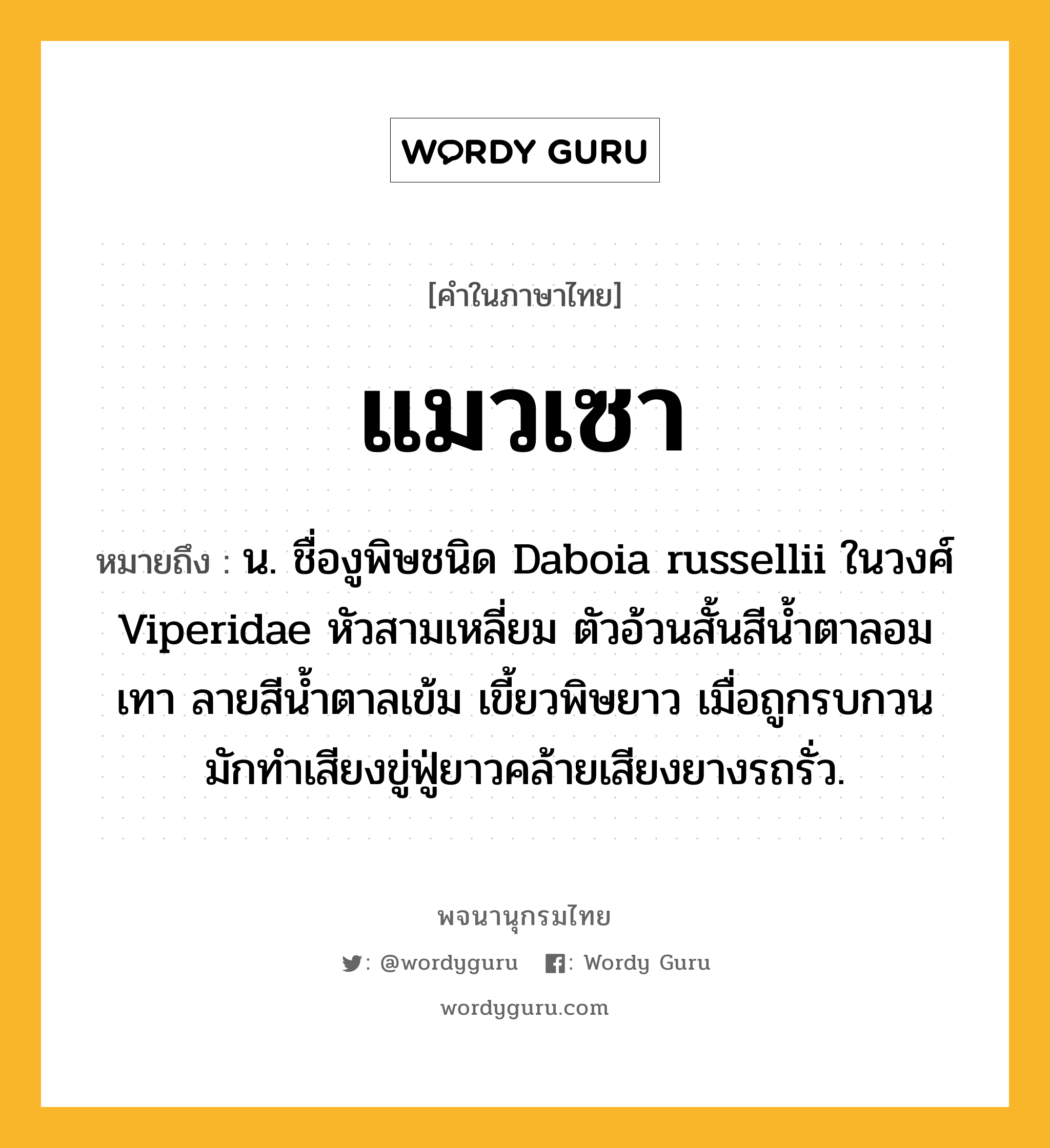 แมวเซา หมายถึงอะไร?, คำในภาษาไทย แมวเซา หมายถึง น. ชื่องูพิษชนิด Daboia russellii ในวงศ์ Viperidae หัวสามเหลี่ยม ตัวอ้วนสั้นสีนํ้าตาลอมเทา ลายสีนํ้าตาลเข้ม เขี้ยวพิษยาว เมื่อถูกรบกวนมักทําเสียงขู่ฟู่ยาวคล้ายเสียงยางรถรั่ว.