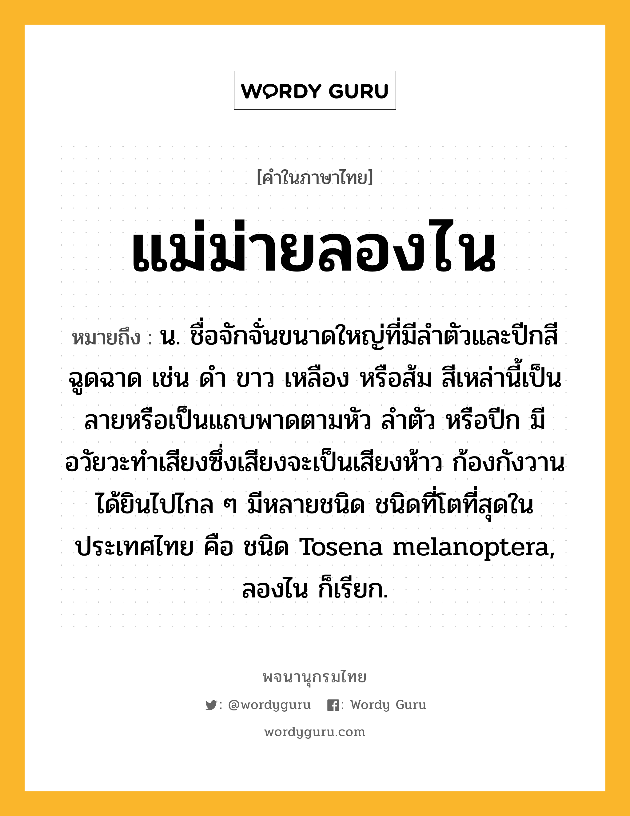 แม่ม่ายลองไน หมายถึงอะไร?, คำในภาษาไทย แม่ม่ายลองไน หมายถึง น. ชื่อจักจั่นขนาดใหญ่ที่มีลําตัวและปีกสีฉูดฉาด เช่น ดํา ขาว เหลือง หรือส้ม สีเหล่านี้เป็นลายหรือเป็นแถบพาดตามหัว ลําตัว หรือปีก มีอวัยวะทําเสียงซึ่งเสียงจะเป็นเสียงห้าว ก้องกังวานได้ยินไปไกล ๆ มีหลายชนิด ชนิดที่โตที่สุดในประเทศไทย คือ ชนิด Tosena melanoptera, ลองไน ก็เรียก.