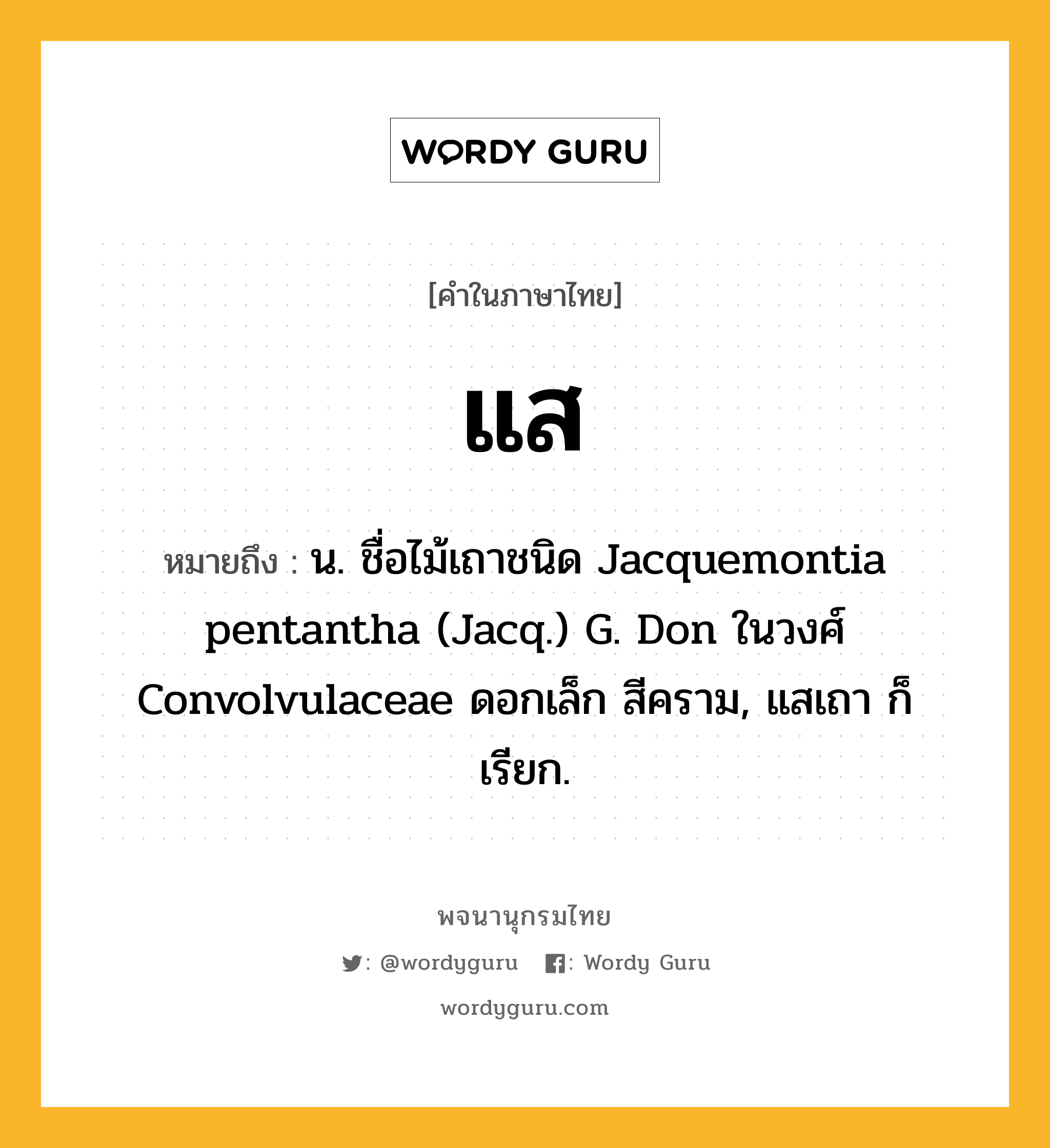 แส หมายถึงอะไร?, คำในภาษาไทย แส หมายถึง น. ชื่อไม้เถาชนิด Jacquemontia pentantha (Jacq.) G. Don ในวงศ์ Convolvulaceae ดอกเล็ก สีคราม, แสเถา ก็เรียก.