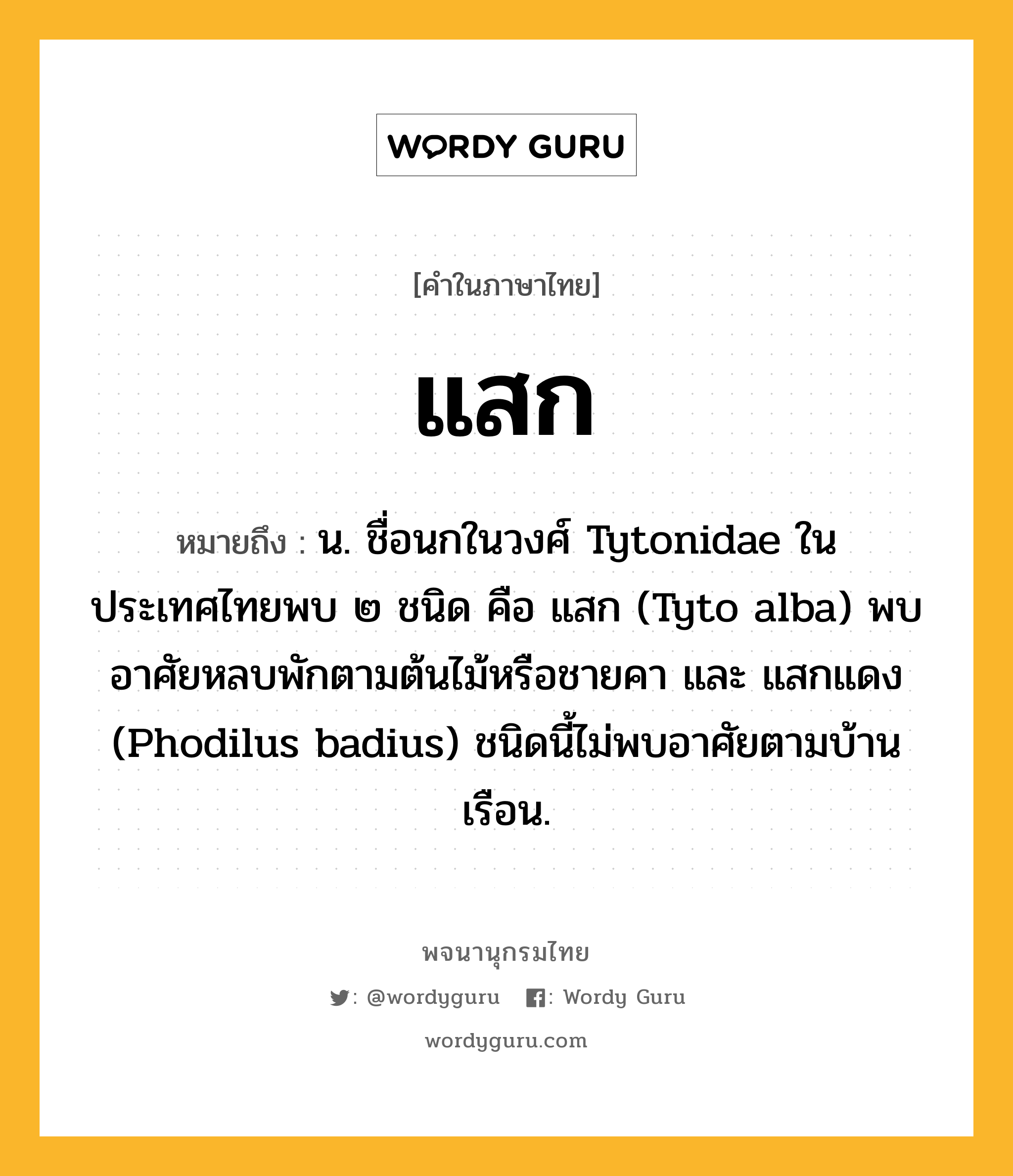 แสก หมายถึงอะไร?, คำในภาษาไทย แสก หมายถึง น. ชื่อนกในวงศ์ Tytonidae ในประเทศไทยพบ ๒ ชนิด คือ แสก (Tyto alba) พบอาศัยหลบพักตามต้นไม้หรือชายคา และ แสกแดง (Phodilus badius) ชนิดนี้ไม่พบอาศัยตามบ้านเรือน.