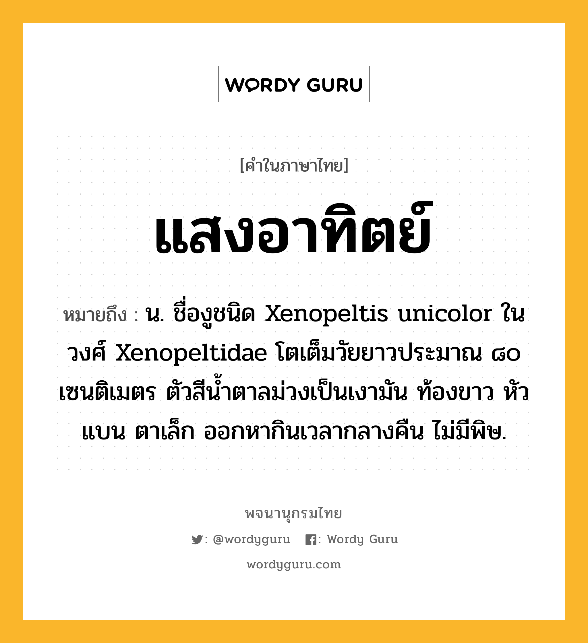 แสงอาทิตย์ หมายถึงอะไร?, คำในภาษาไทย แสงอาทิตย์ หมายถึง น. ชื่องูชนิด Xenopeltis unicolor ในวงศ์ Xenopeltidae โตเต็มวัยยาวประมาณ ๘๐ เซนติเมตร ตัวสีนํ้าตาลม่วงเป็นเงามัน ท้องขาว หัวแบน ตาเล็ก ออกหากินเวลากลางคืน ไม่มีพิษ.