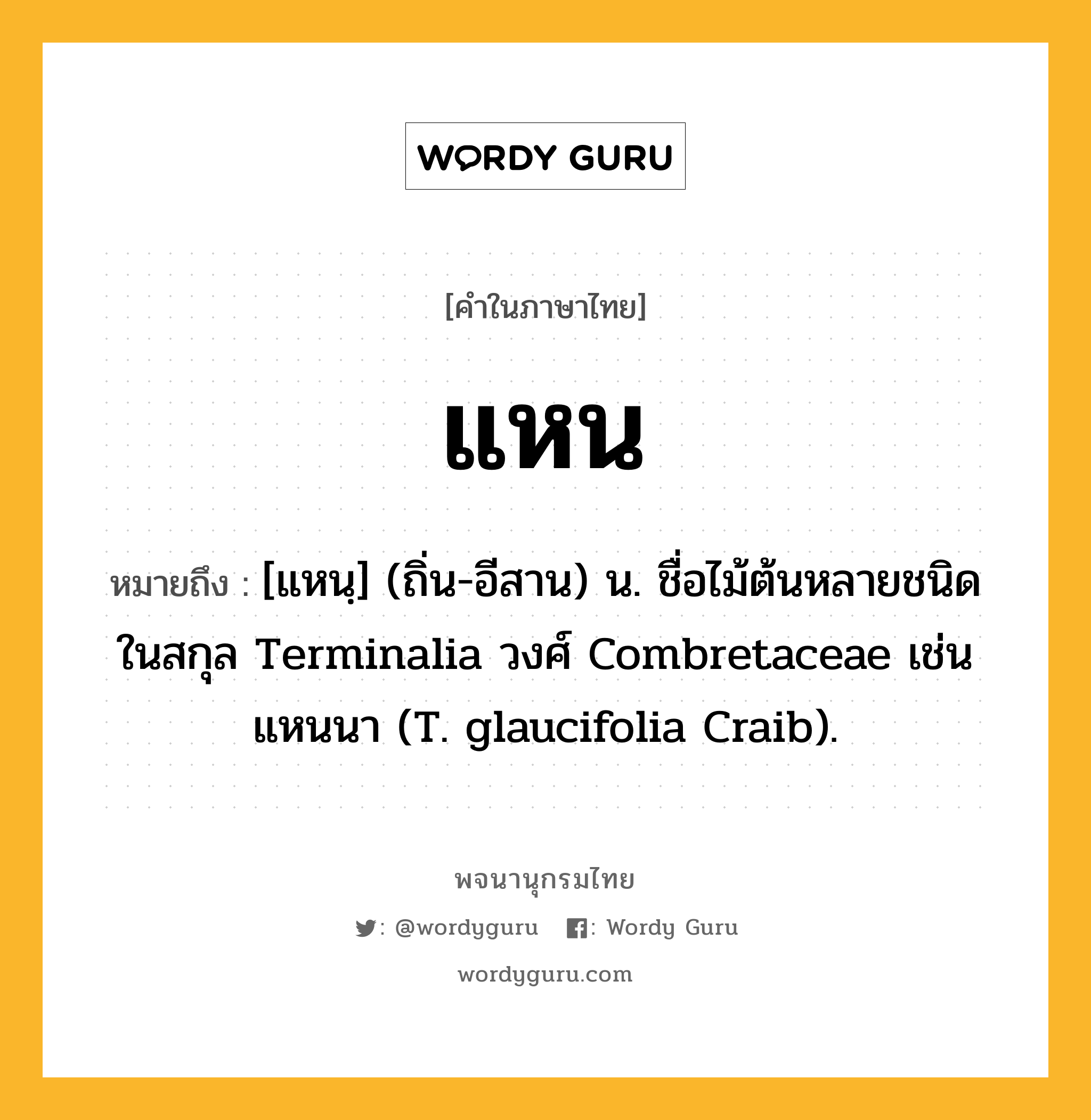 แหน หมายถึงอะไร?, คำในภาษาไทย แหน หมายถึง [แหนฺ] (ถิ่น-อีสาน) น. ชื่อไม้ต้นหลายชนิดในสกุล Terminalia วงศ์ Combretaceae เช่น แหนนา (T. glaucifolia Craib).