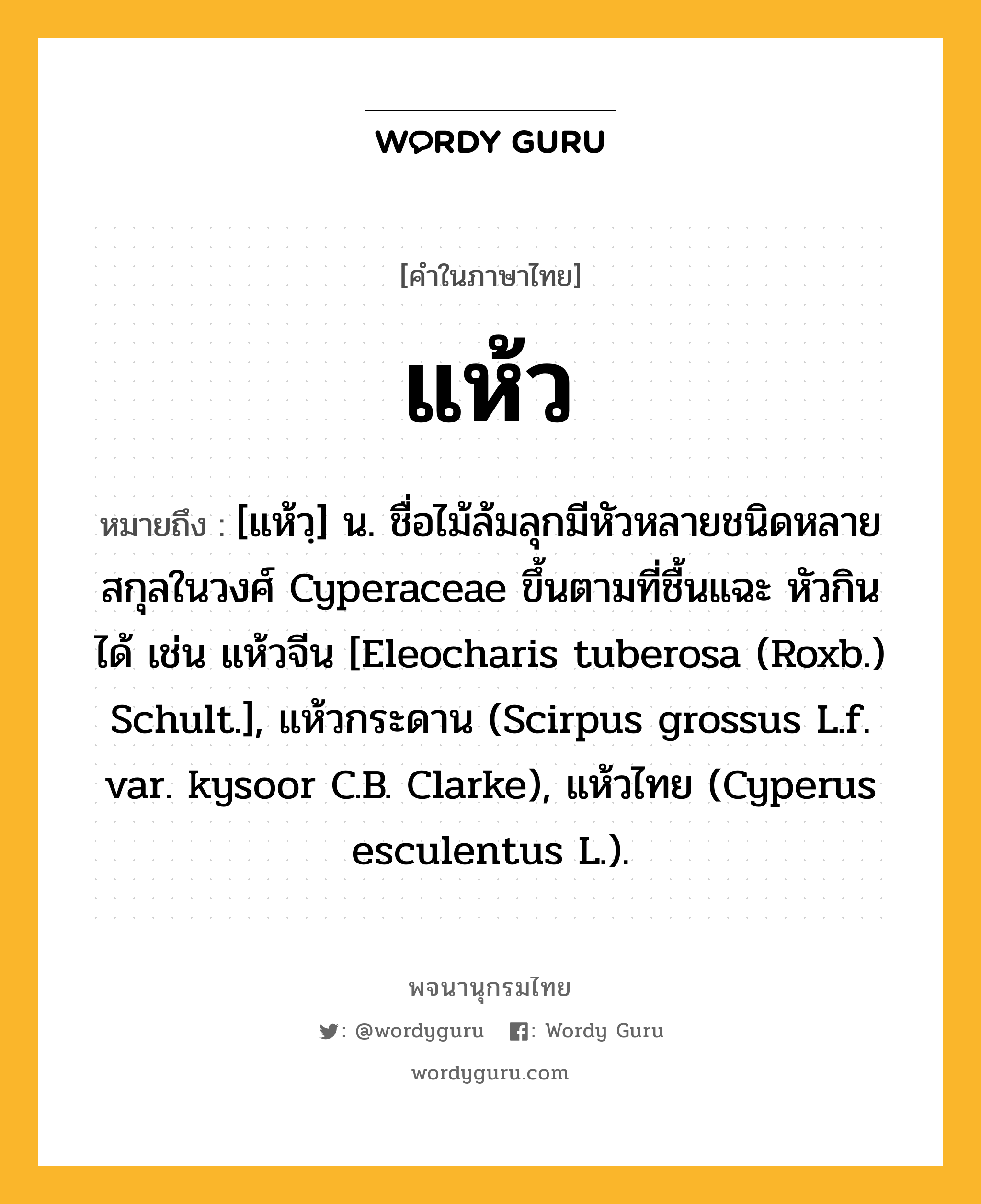 แห้ว หมายถึงอะไร?, คำในภาษาไทย แห้ว หมายถึง [แห้วฺ] น. ชื่อไม้ล้มลุกมีหัวหลายชนิดหลายสกุลในวงศ์ Cyperaceae ขึ้นตามที่ชื้นแฉะ หัวกินได้ เช่น แห้วจีน [Eleocharis tuberosa (Roxb.) Schult.], แห้วกระดาน (Scirpus grossus L.f. var. kysoor C.B. Clarke), แห้วไทย (Cyperus esculentus L.).