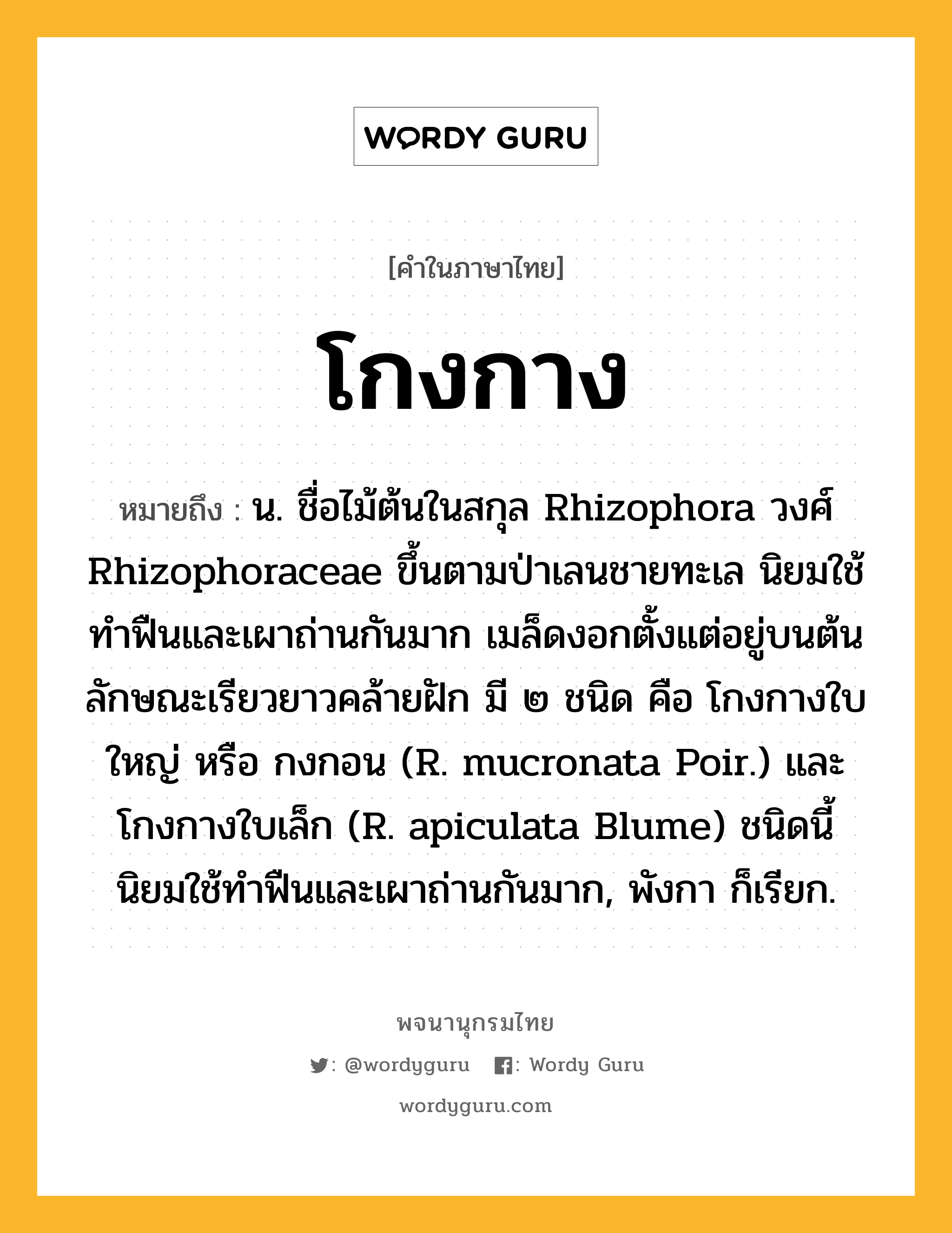 โกงกาง หมายถึงอะไร?, คำในภาษาไทย โกงกาง หมายถึง น. ชื่อไม้ต้นในสกุล Rhizophora วงศ์ Rhizophoraceae ขึ้นตามป่าเลนชายทะเล นิยมใช้ทําฟืนและเผาถ่านกันมาก เมล็ดงอกตั้งแต่อยู่บนต้น ลักษณะเรียวยาวคล้ายฝัก มี ๒ ชนิด คือ โกงกางใบใหญ่ หรือ กงกอน (R. mucronata Poir.) และ โกงกางใบเล็ก (R. apiculata Blume) ชนิดนี้นิยมใช้ทำฟืนและเผาถ่านกันมาก, พังกา ก็เรียก.