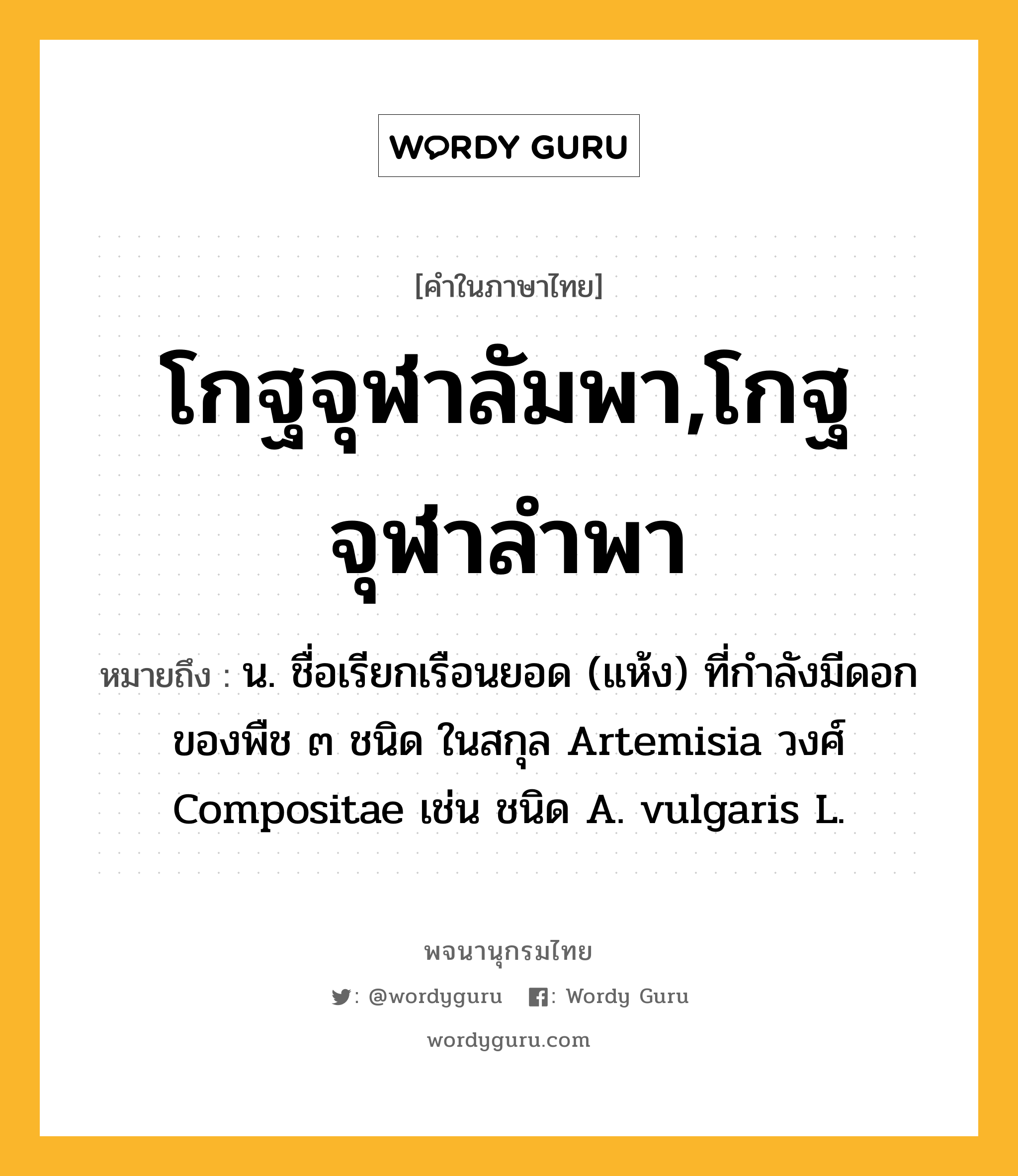 โกฐจุฬาลัมพา,โกฐจุฬาลำพา หมายถึงอะไร?, คำในภาษาไทย โกฐจุฬาลัมพา,โกฐจุฬาลำพา หมายถึง น. ชื่อเรียกเรือนยอด (แห้ง) ที่กําลังมีดอกของพืช ๓ ชนิด ในสกุล Artemisia วงศ์ Compositae เช่น ชนิด A. vulgaris L.