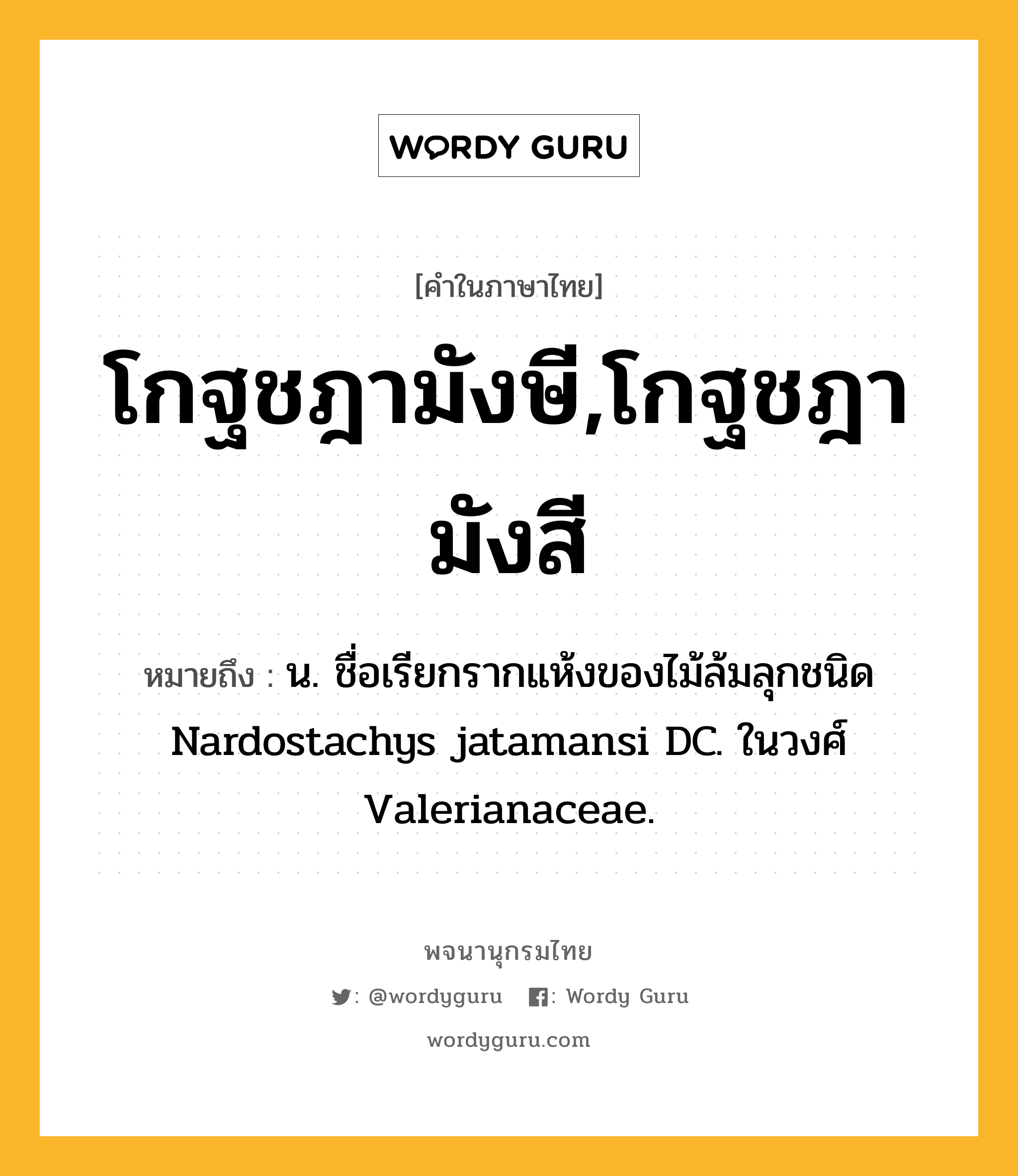 โกฐชฎามังษี,โกฐชฎามังสี หมายถึงอะไร?, คำในภาษาไทย โกฐชฎามังษี,โกฐชฎามังสี หมายถึง น. ชื่อเรียกรากแห้งของไม้ล้มลุกชนิด Nardostachys jatamansi DC. ในวงศ์ Valerianaceae.