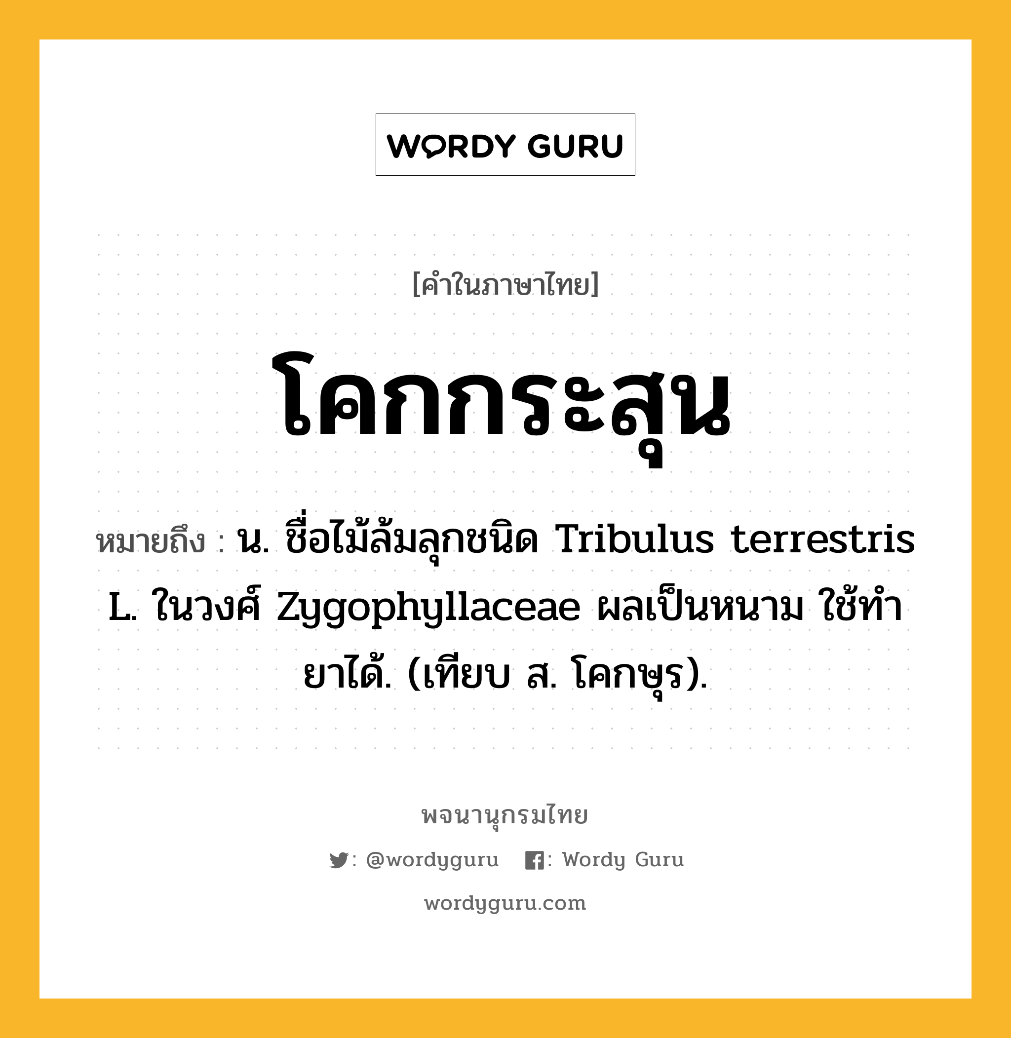 โคกกระสุน หมายถึงอะไร?, คำในภาษาไทย โคกกระสุน หมายถึง น. ชื่อไม้ล้มลุกชนิด Tribulus terrestris L. ในวงศ์ Zygophyllaceae ผลเป็นหนาม ใช้ทํายาได้. (เทียบ ส. โคกษุร).