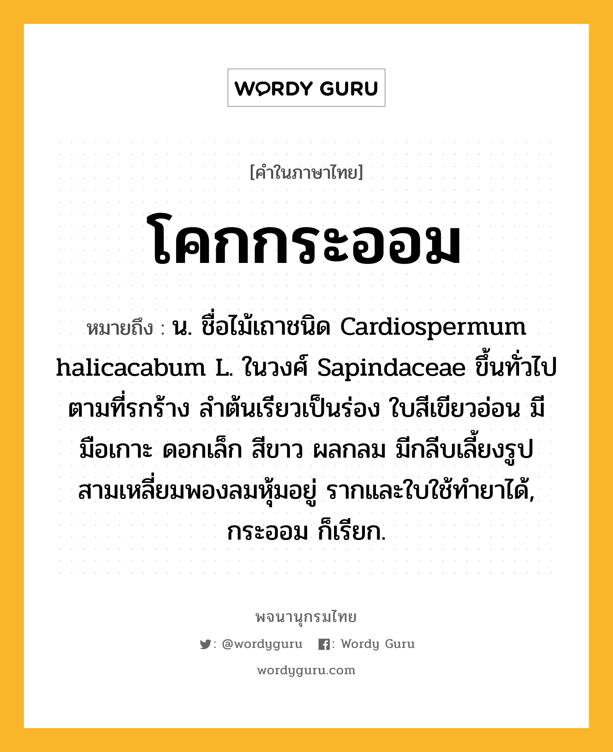 โคกกระออม หมายถึงอะไร?, คำในภาษาไทย โคกกระออม หมายถึง น. ชื่อไม้เถาชนิด Cardiospermum halicacabum L. ในวงศ์ Sapindaceae ขึ้นทั่วไปตามที่รกร้าง ลําต้นเรียวเป็นร่อง ใบสีเขียวอ่อน มีมือเกาะ ดอกเล็ก สีขาว ผลกลม มีกลีบเลี้ยงรูปสามเหลี่ยมพองลมหุ้มอยู่ รากและใบใช้ทํายาได้, กระออม ก็เรียก.