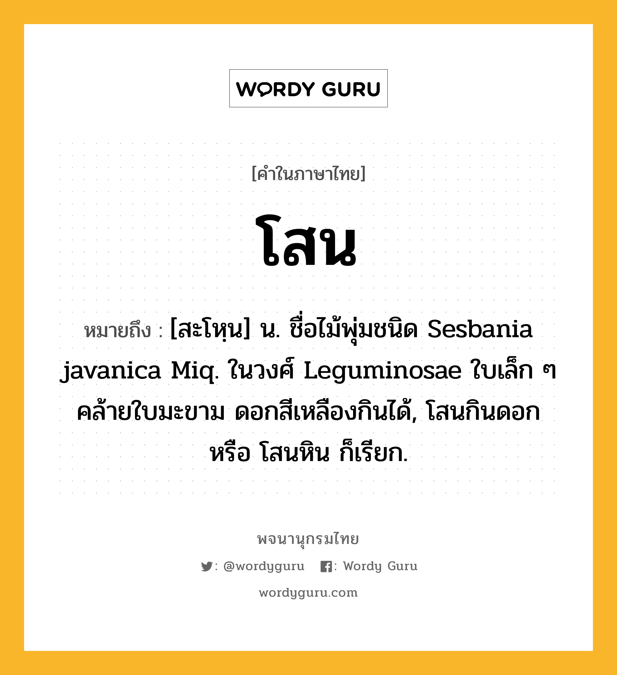 โสน หมายถึงอะไร?, คำในภาษาไทย โสน หมายถึง [สะโหฺน] น. ชื่อไม้พุ่มชนิด Sesbania javanica Miq. ในวงศ์ Leguminosae ใบเล็ก ๆ คล้ายใบมะขาม ดอกสีเหลืองกินได้, โสนกินดอก หรือ โสนหิน ก็เรียก.