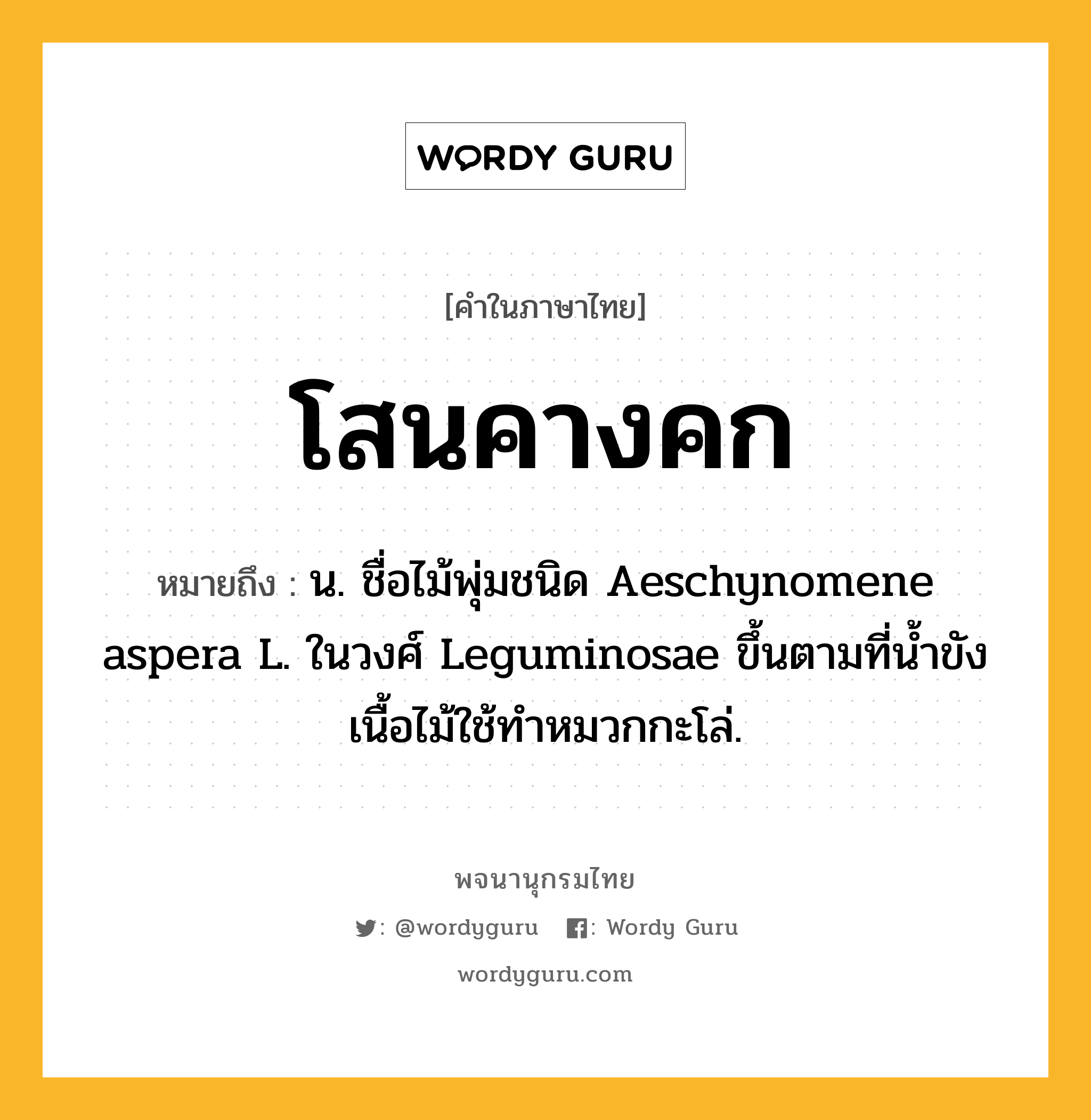 โสนคางคก หมายถึงอะไร?, คำในภาษาไทย โสนคางคก หมายถึง น. ชื่อไม้พุ่มชนิด Aeschynomene aspera L. ในวงศ์ Leguminosae ขึ้นตามที่น้ำขัง เนื้อไม้ใช้ทำหมวกกะโล่.