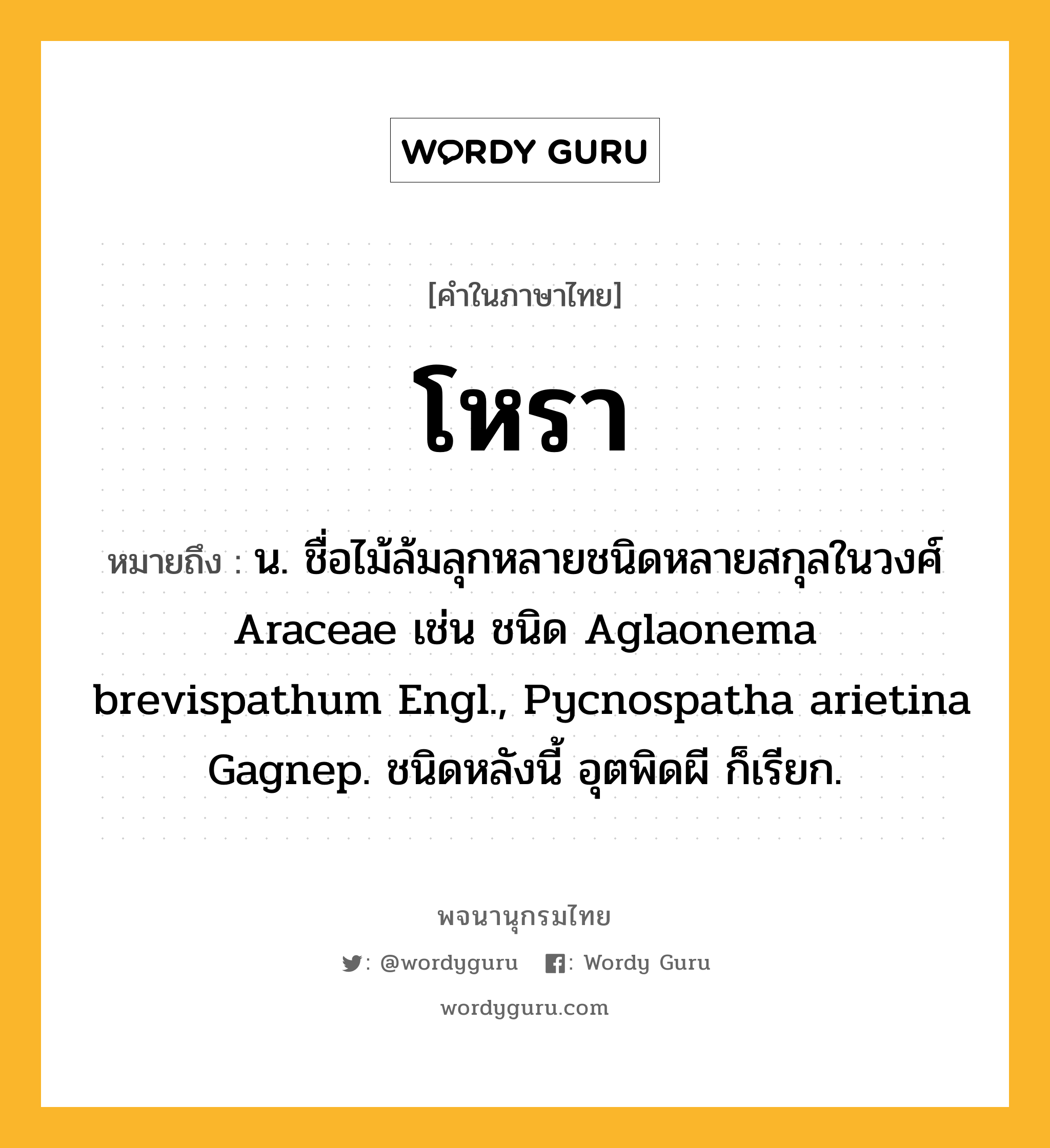 โหรา หมายถึงอะไร?, คำในภาษาไทย โหรา หมายถึง น. ชื่อไม้ล้มลุกหลายชนิดหลายสกุลในวงศ์ Araceae เช่น ชนิด Aglaonema brevispathum Engl., Pycnospatha arietina Gagnep. ชนิดหลังนี้ อุตพิดผี ก็เรียก.