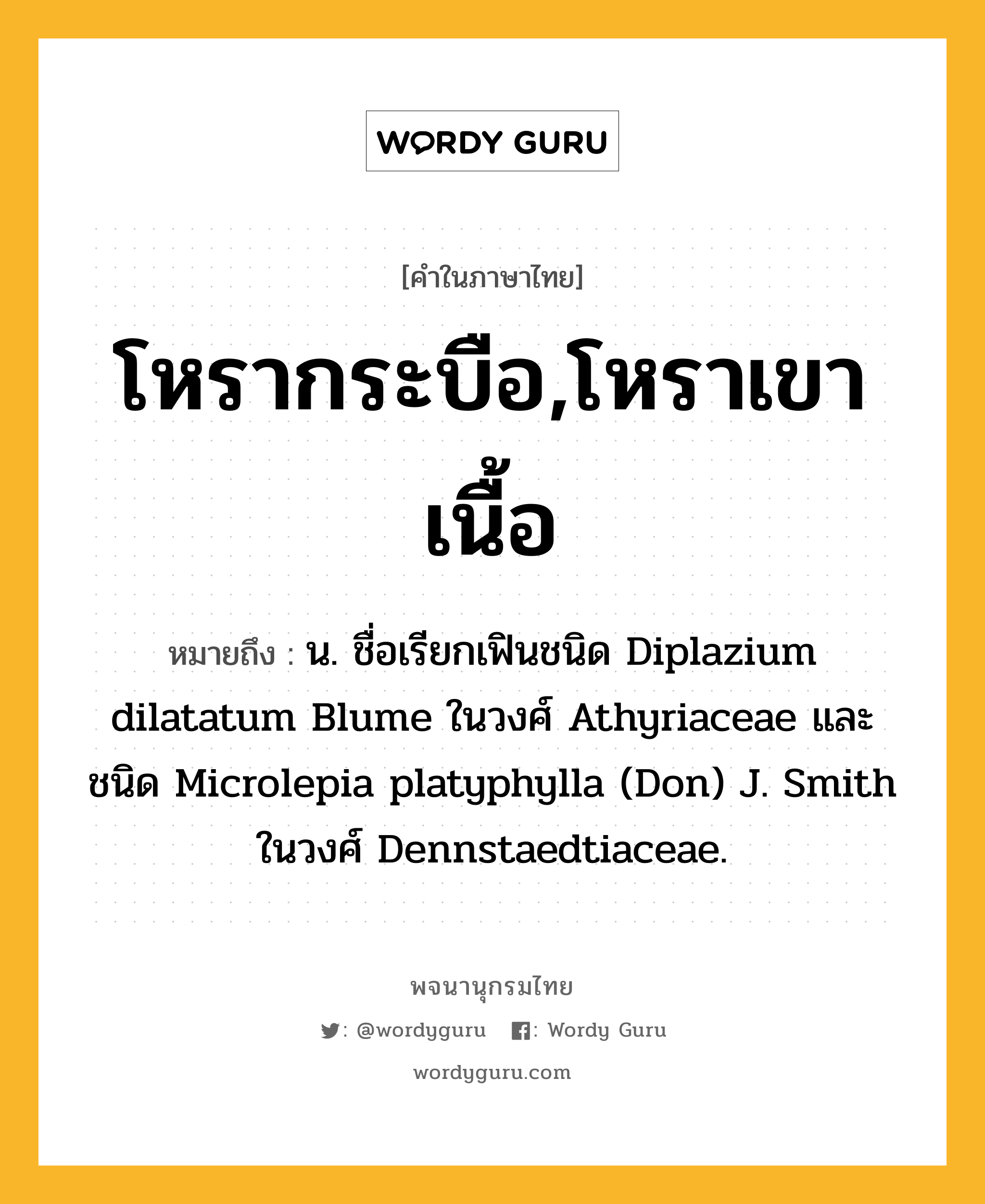 โหรากระบือ,โหราเขาเนื้อ หมายถึงอะไร?, คำในภาษาไทย โหรากระบือ,โหราเขาเนื้อ หมายถึง น. ชื่อเรียกเฟินชนิด Diplazium dilatatum Blume ในวงศ์ Athyriaceae และชนิด Microlepia platyphylla (Don) J. Smith ในวงศ์ Dennstaedtiaceae.