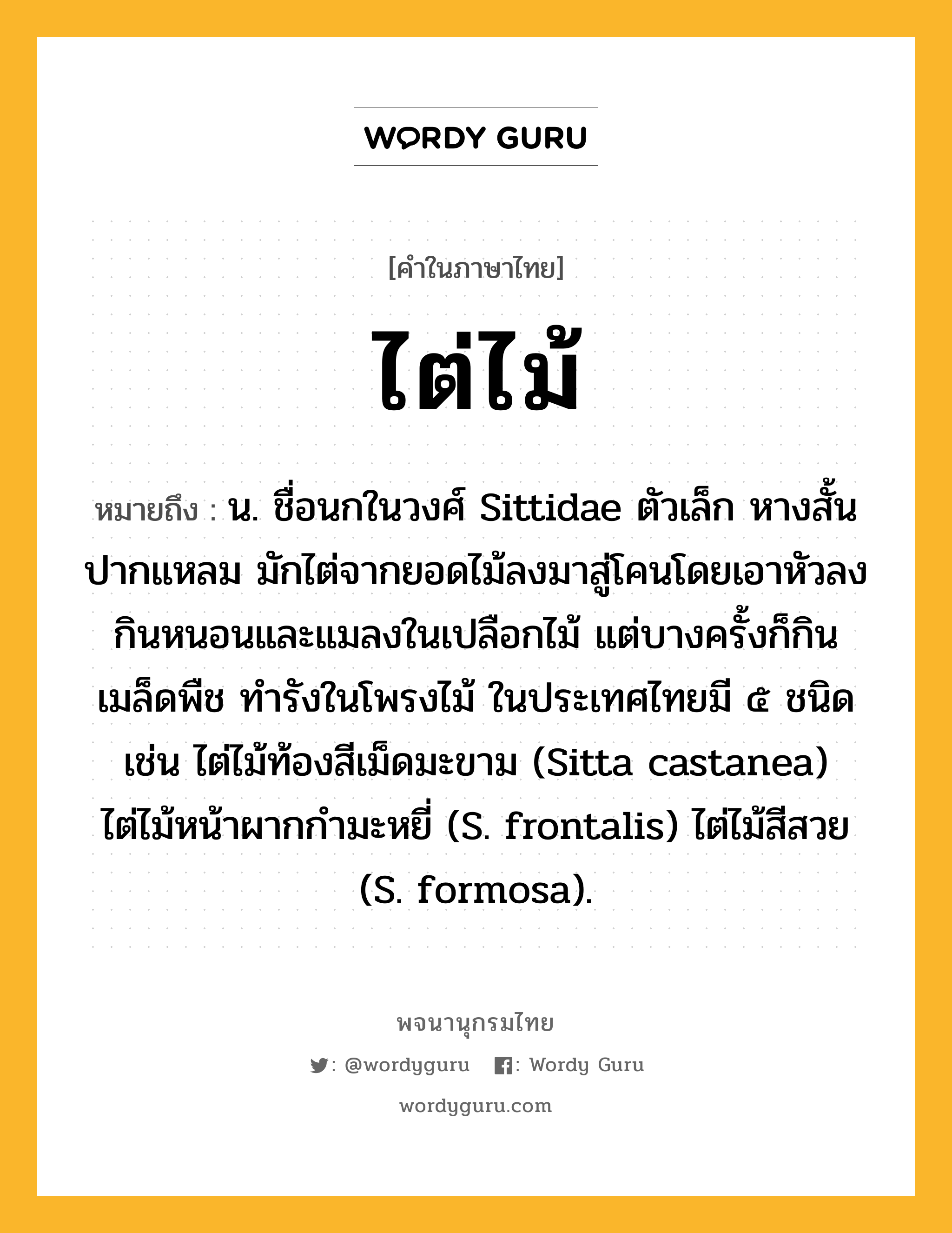 ไต่ไม้ หมายถึงอะไร?, คำในภาษาไทย ไต่ไม้ หมายถึง น. ชื่อนกในวงศ์ Sittidae ตัวเล็ก หางสั้น ปากแหลม มักไต่จากยอดไม้ลงมาสู่โคนโดยเอาหัวลง กินหนอนและแมลงในเปลือกไม้ แต่บางครั้งก็กินเมล็ดพืช ทํารังในโพรงไม้ ในประเทศไทยมี ๕ ชนิด เช่น ไต่ไม้ท้องสีเม็ดมะขาม (Sitta castanea) ไต่ไม้หน้าผากกํามะหยี่ (S. frontalis) ไต่ไม้สีสวย (S. formosa).