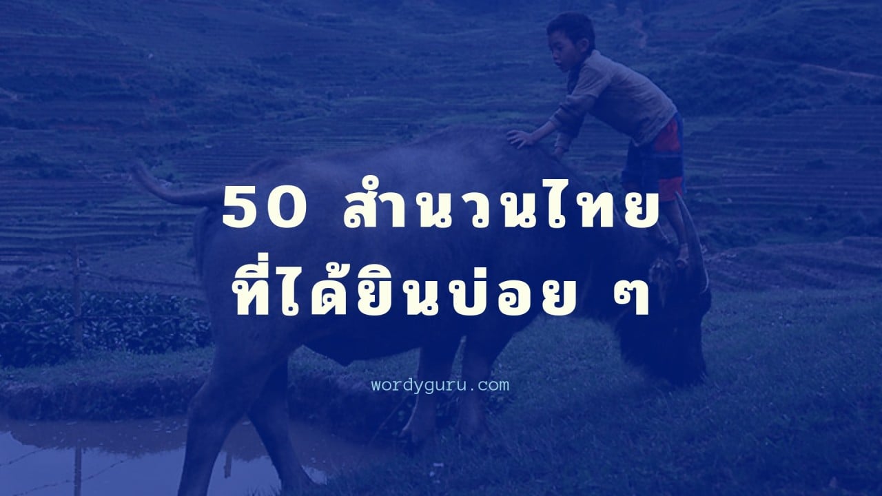 50 สำนวนไทย ที่ได้ยินบ่อย ๆ